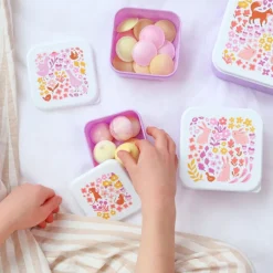 Lunchboxen>A Little Lovely Company Charlie Lunch & Snack Box flower garden