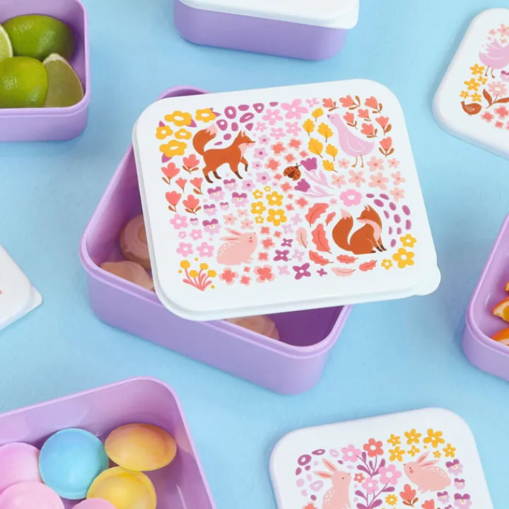 Lunchboxen>A Little Lovely Company Charlie Lunch & Snack Box flower garden