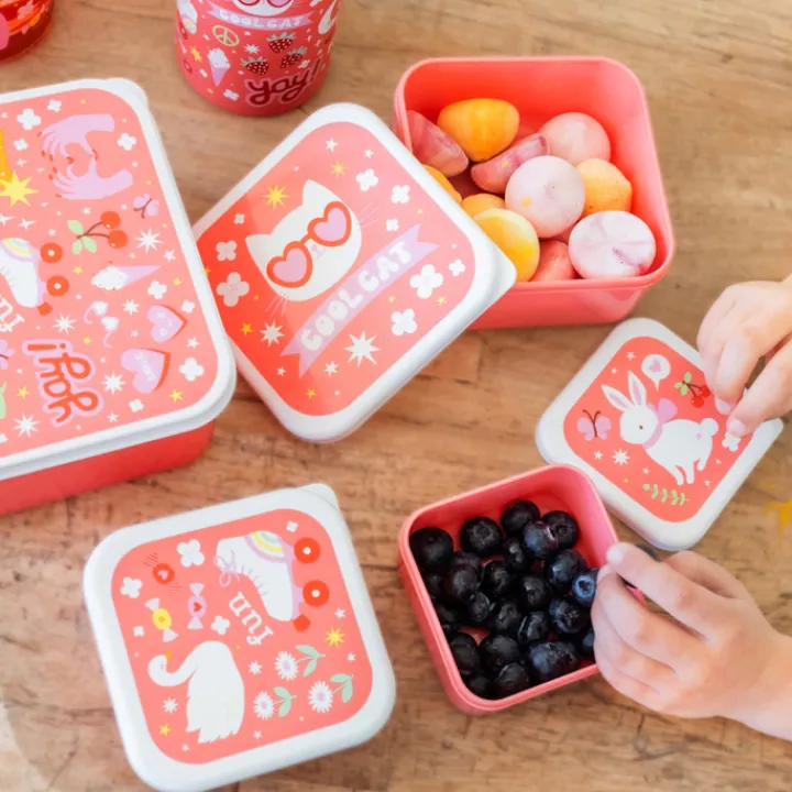Lunchboxen>A Little Lovely Company Charlie Lunch & Snack Box fun