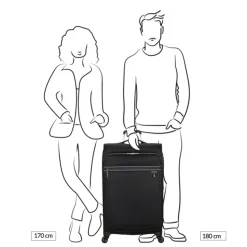 Reistrolleys|Reiskoffers>American Tourister Aerospin Spinner L Exp stone basalt