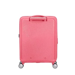 Transavia Trolleys|Ryanair Trolleys><noscript><img width=