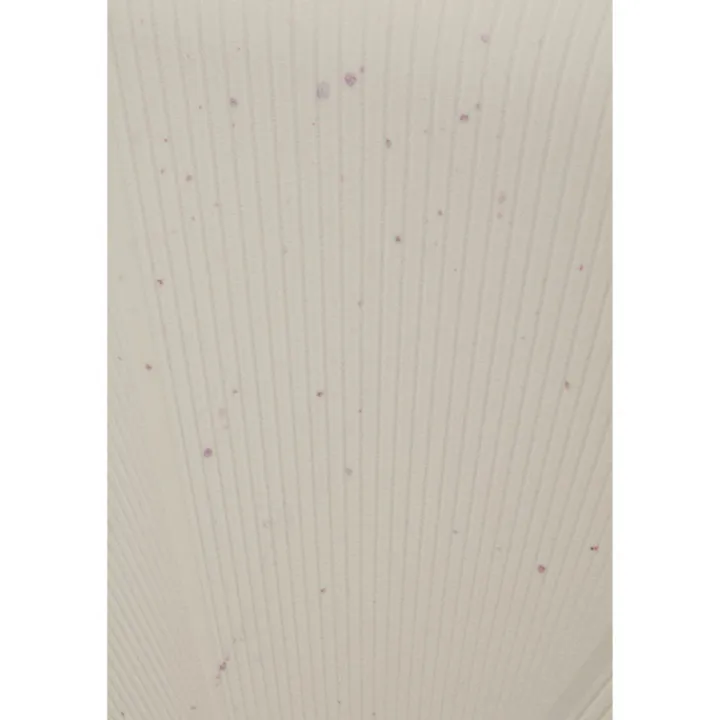 Reistrolleys|Reiskoffers>American Tourister Starvibe Spinner 77/28 Expandable TSA Ltd cream speckles
