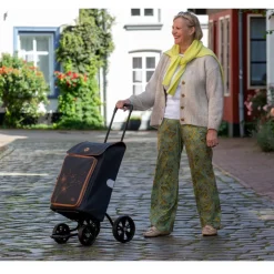 Boodschappen Trolleys|Reistrolleys>Andersen Quattro Shopper Erbo black