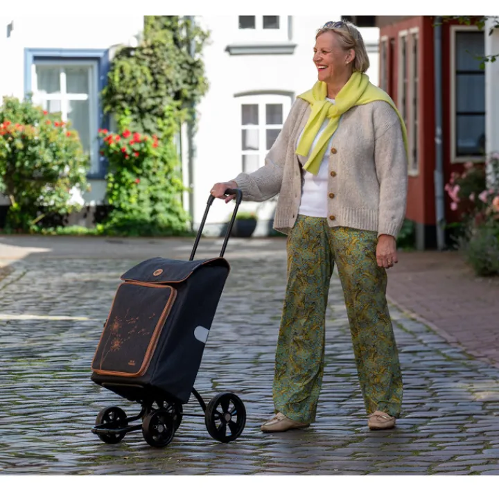 Boodschappen Trolleys|Reistrolleys>Andersen Quattro Shopper Erbo black
