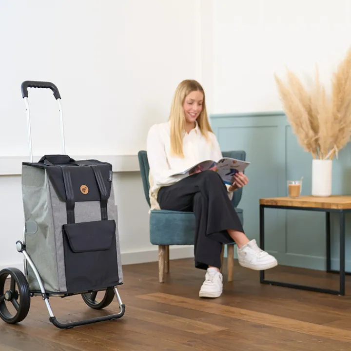 Boodschappen Trolleys|Reistrolleys>Andersen Royal Shopper Senta 2.0 grey
