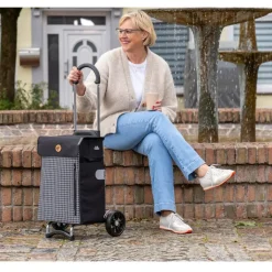 Boodschappen Trolleys|Reistrolleys>Andersen Scala Shopper Hente black