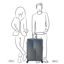 Reistrolleys|Reiskoffers>Decent Tourister Large Trolley 76 grey
