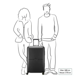 Reistrolleys|Reiskoffers>Delsey Turenne 2.0 Trolley L black