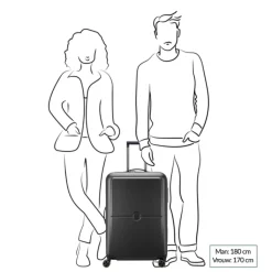 Reistrolleys|Reiskoffers>Delsey Turenne 2.0 Trolley M black