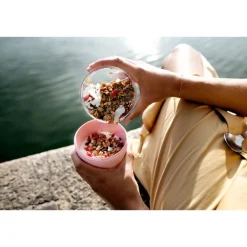 Lunchboxen><noscript><img width=