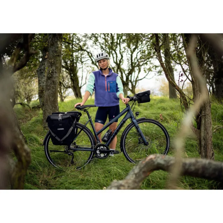Heren Reistassen|Dames Reistassen>Ortlieb Back-Roller Plus QL2.1 20L black