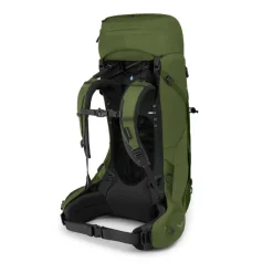 Grote Rugzakken|Trekking Rugzakken>Osprey Aether 55 Backpack L/XL mustard green