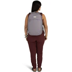 Kleine Rugzakken|Heren Rugzakken>Osprey Arcane Large Day latte brown