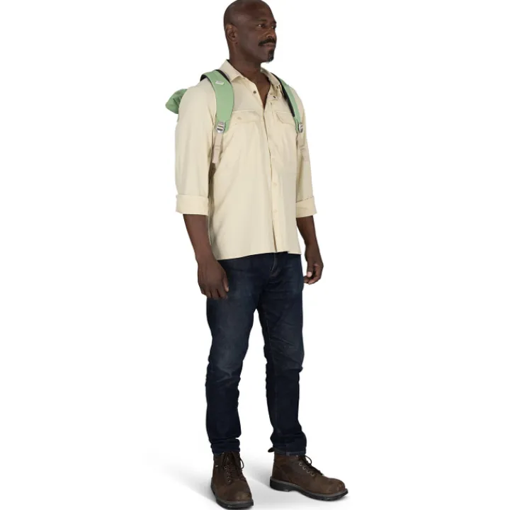 Kleine Rugzakken|Heren Rugzakken>Osprey Arcane Tote Pack botanica