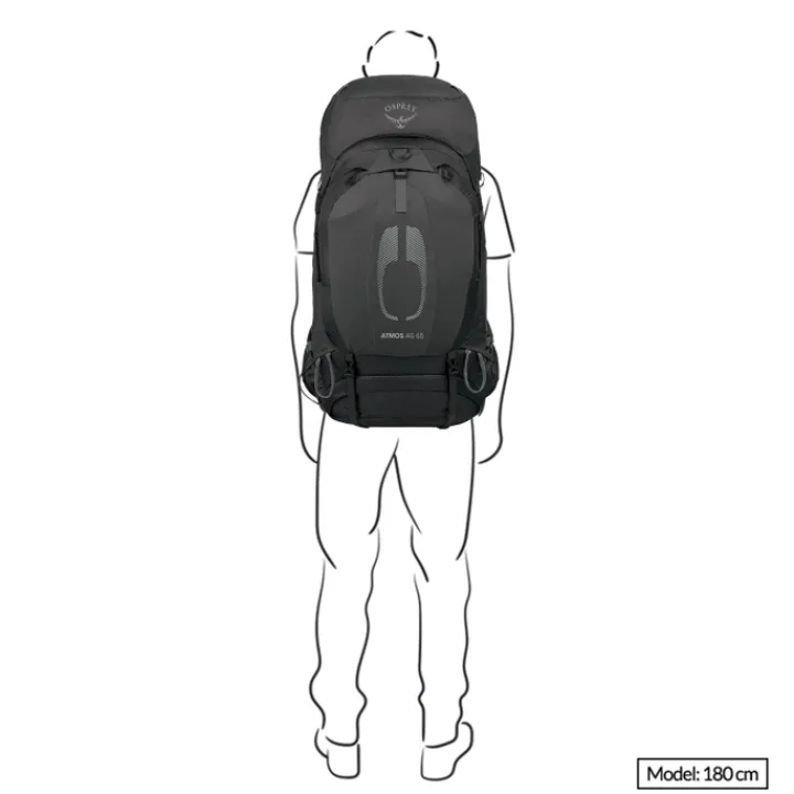 Grote Rugzakken|Trekking Rugzakken>Osprey Atmos AG 65 S/M black