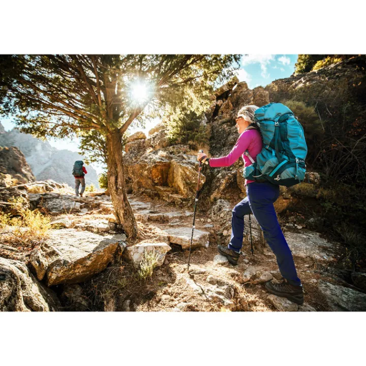 Grote Rugzakken|Trekking Rugzakken>Osprey Aura AG 50 WM/L enchantment purple
