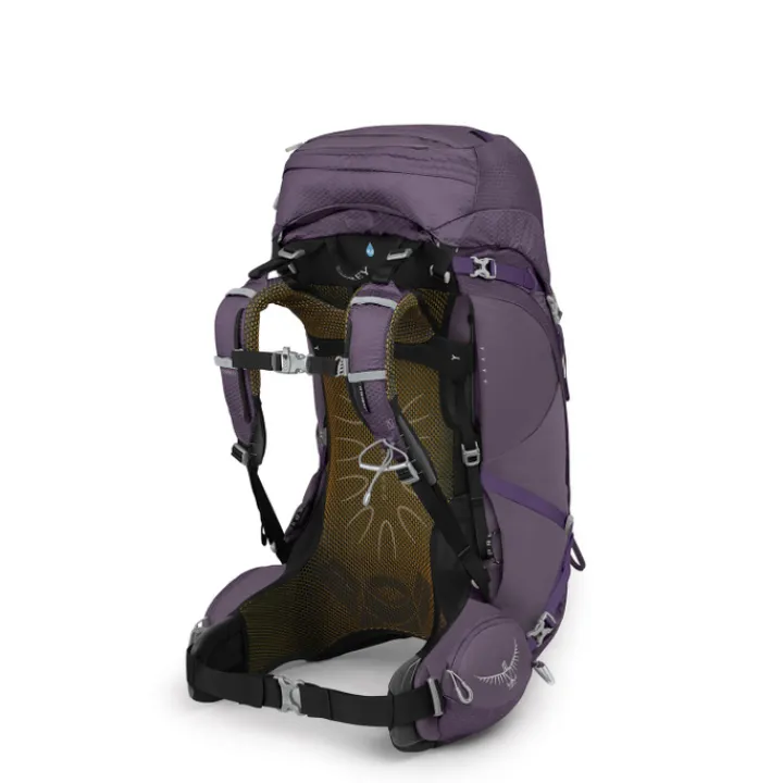 Grote Rugzakken|Trekking Rugzakken>Osprey Aura AG 50 WM/L enchantment purple