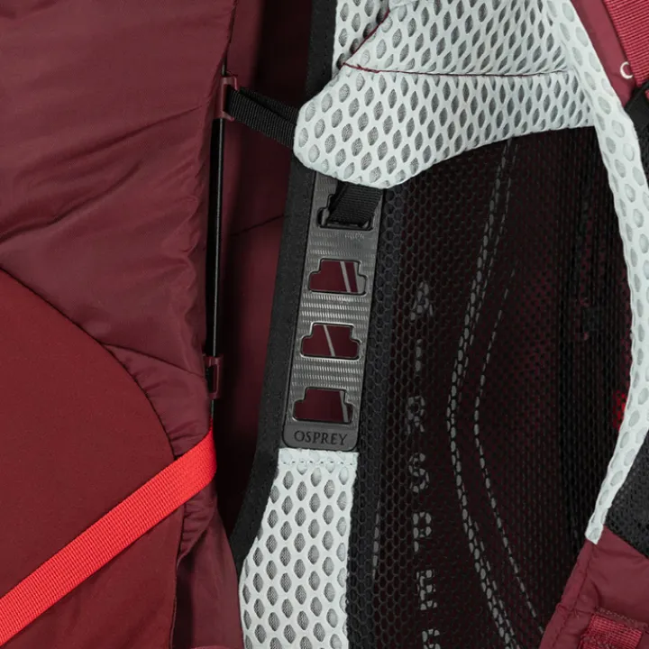 Grote Rugzakken|Trekking Rugzakken>Osprey Aura AG LT 65 WM/L antidote purple