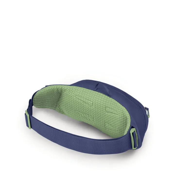 Heuptassen|Crossbody>Osprey Daylite Waist blue spikemoss/alkaline
