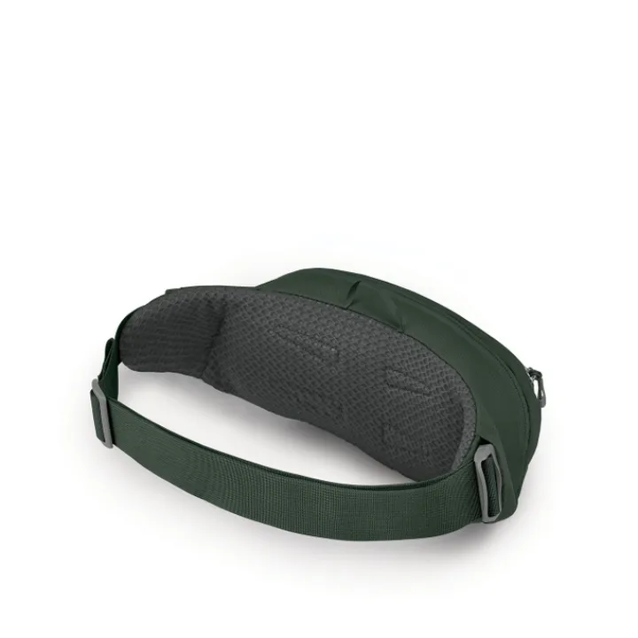 Heuptassen|Crossbody>Osprey Daylite Waist green belt/green canopy