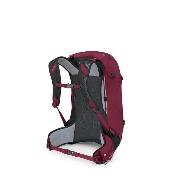 Wandelrugzakken|Hiking Backpacks>Osprey Hikelite 28 M-L chameleon-black