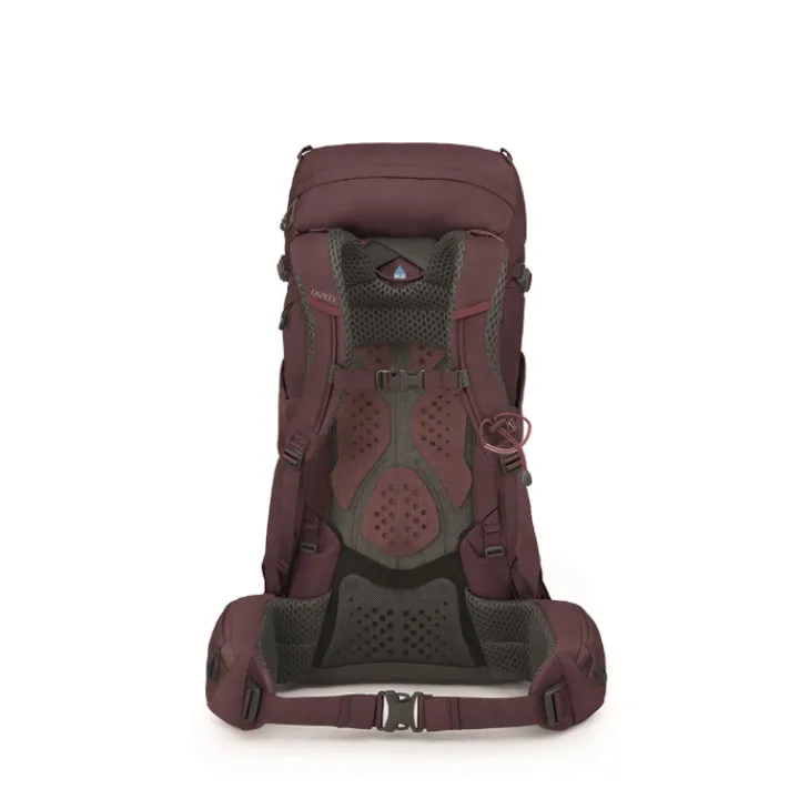 Trekking Rugzakken|Hiking Backpacks>Osprey Kyte 38 WM/L elderberry purple