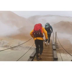 Wandelrugzakken|Hiking Backpacks>Osprey Sirrus 26 Backpack purple/chiru tan