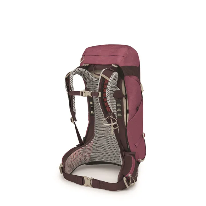 Wandelrugzakken|Hiking Backpacks>Osprey Sirrus 26 Backpack purple/chiru tan