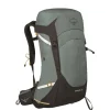 Wandelrugzakken|Hiking Backpacks>Osprey Sirrus 26 Backpack succulent green