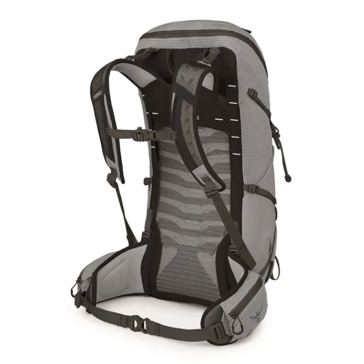 Wandelrugzakken|Hiking Backpacks>Osprey Talon Pro 30 silver lining