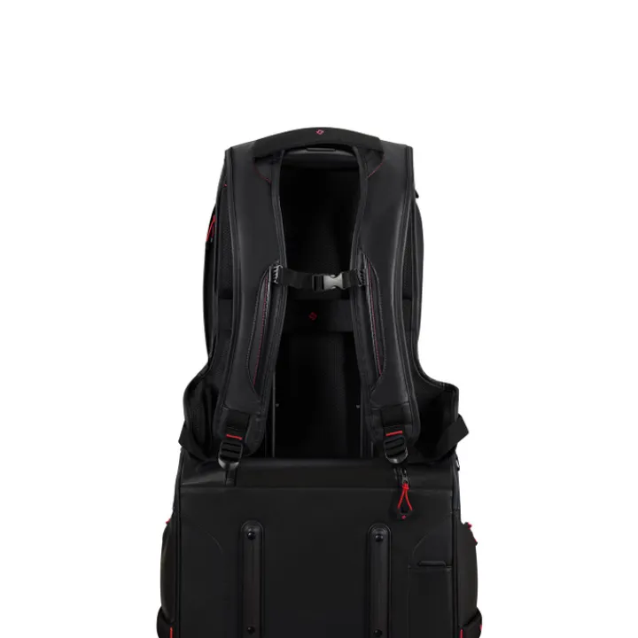 Kleine Rugzakken|Heren Rugzakken>Samsonite Ecodiver Laptop Backpack M black