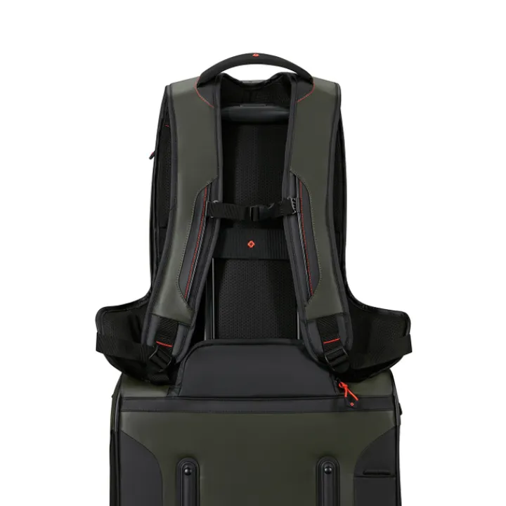 Kleine Rugzakken|Heren Rugzakken>Samsonite Ecodiver Laptop Backpack M climbing ivy