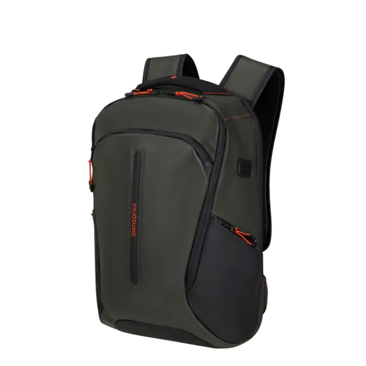 Kleine Rugzakken|Heren Rugzakken>Samsonite Ecodiver Laptop Backpack M USB climbing ivy