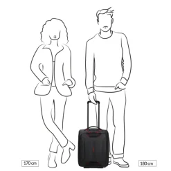 Transavia Trolleys|Handbagage Trolleys>Samsonite Ecodiver Wheeled Duffle Underseater climbing ivy