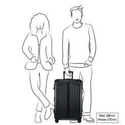 Reistrolleys|Reiskoffers>Samsonite Lite-Box Alu Spinner 69 aluminium