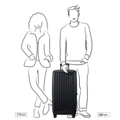 Reistrolleys|Reiskoffers>Samsonite Nuon Trunk 80/30 matt silver