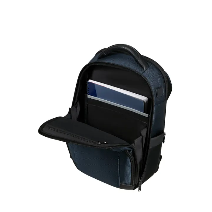 Kleine Rugzakken|Heren Rugzakken>Samsonite Pro-DLX 6 Backpack 14.1'' blue