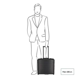 Handbagage Trolleys|Laptop Trolleys>Travelite Next Aluminium Business Wheeler silver