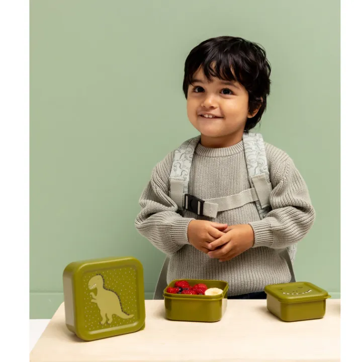 Lunchboxen>Trixie Mr. Dino Snackbox 3pc green