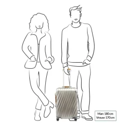 Handbagage Trolleys|Reistrolleys>Tumi 19 Degree Titanium International Carry-On titanium
