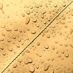 Heren Rugzakken|Dames Rugzakken><noscript><img width=